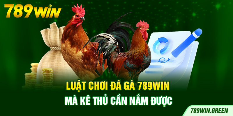 Luật chơi đá gà 789win mà kê thủ cần nắm được