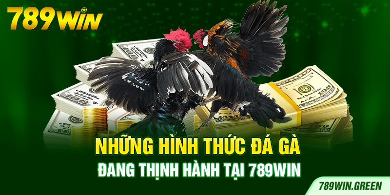 Những hình thức đá gà đang thịnh hành tại 789win