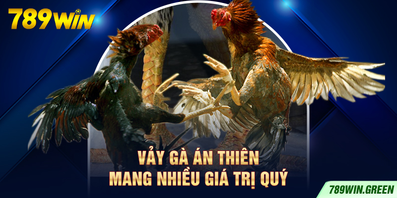 Vảy gà Án Thiên mang nhiều giá trị quý