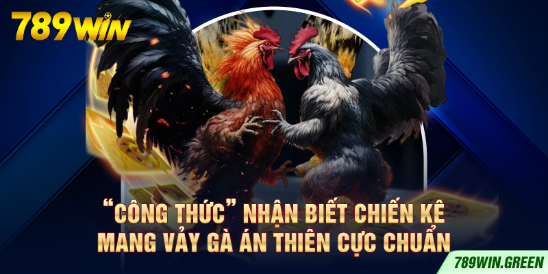 “Công thức” nhận biết chiến kê mang vảy gà Án Thiên cực chuẩn