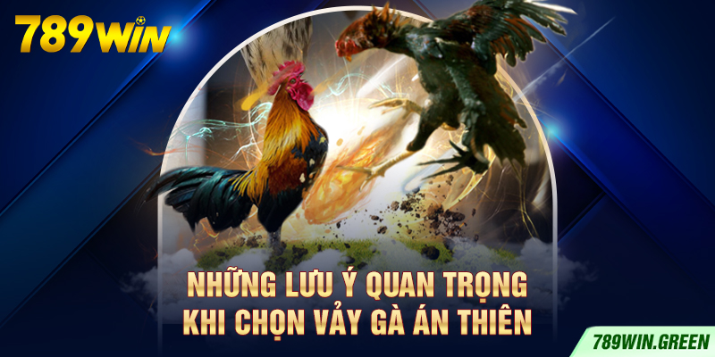 Những lưu ý quan trọng khi chọn vảy gà Án Thiên