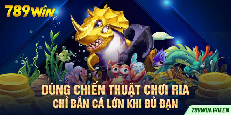 Dùng chiến thuật chơi ria, chỉ bắn cá lớn khi đủ đạn